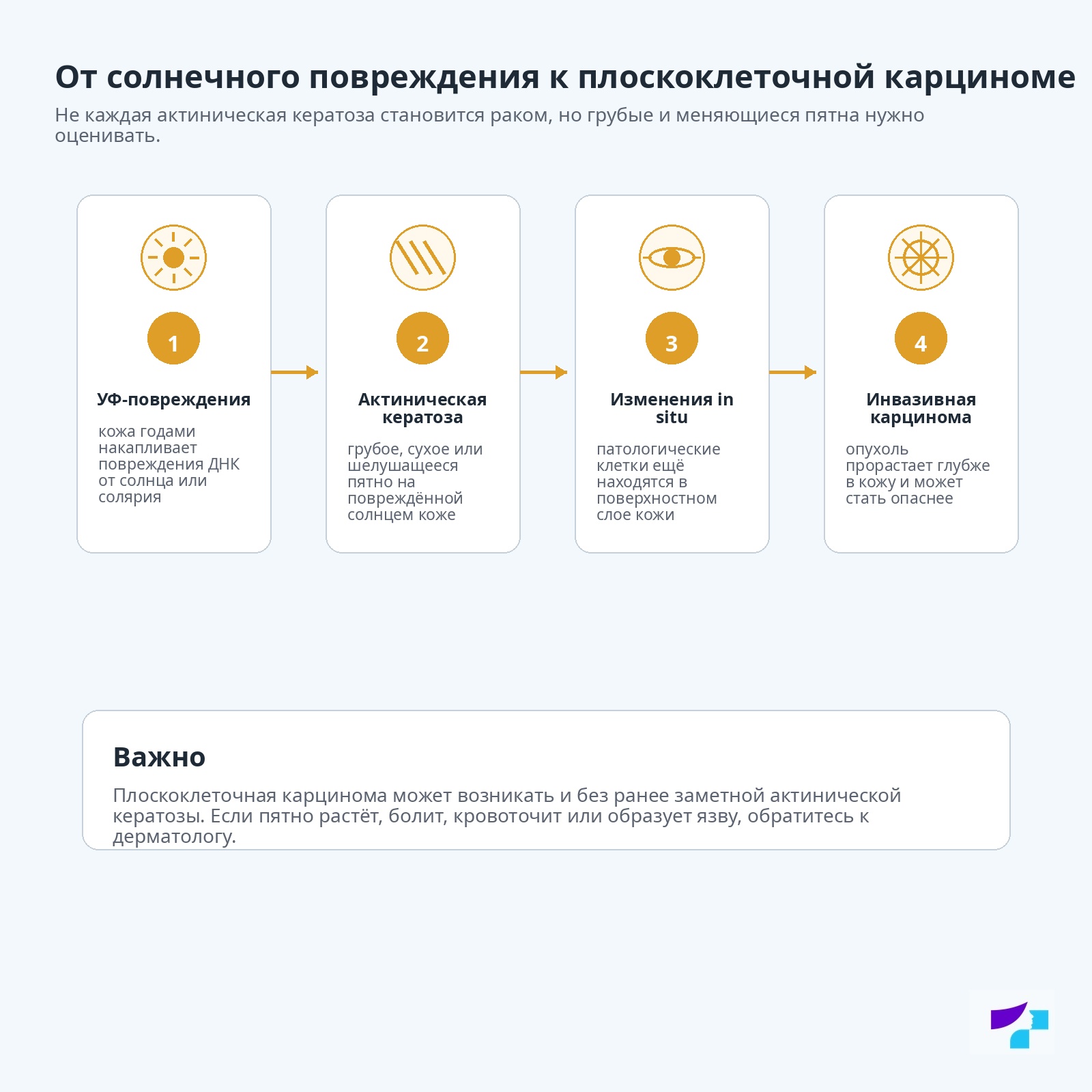 От актинической кератозы к плоскоклеточной карциноме От солнечного повреждения к плоскоклеточной карциноме: УФ-повреждения, актиническая кератоза, изменения in situ и инвазивная карцинома