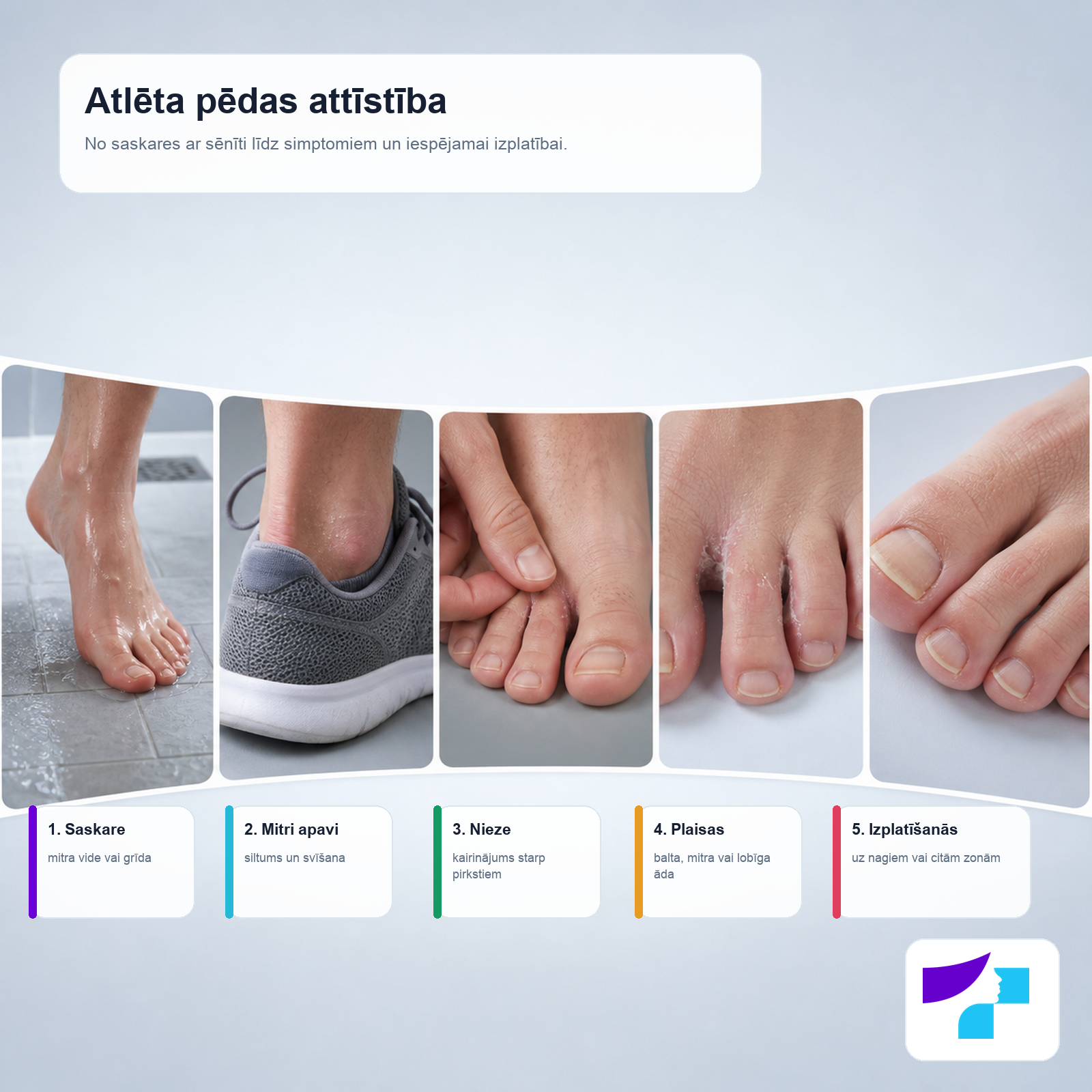 Atlēta pēdas attīstība: saskare ar sēnīti, mitra vide, nieze, plaisas un izplatīšanās