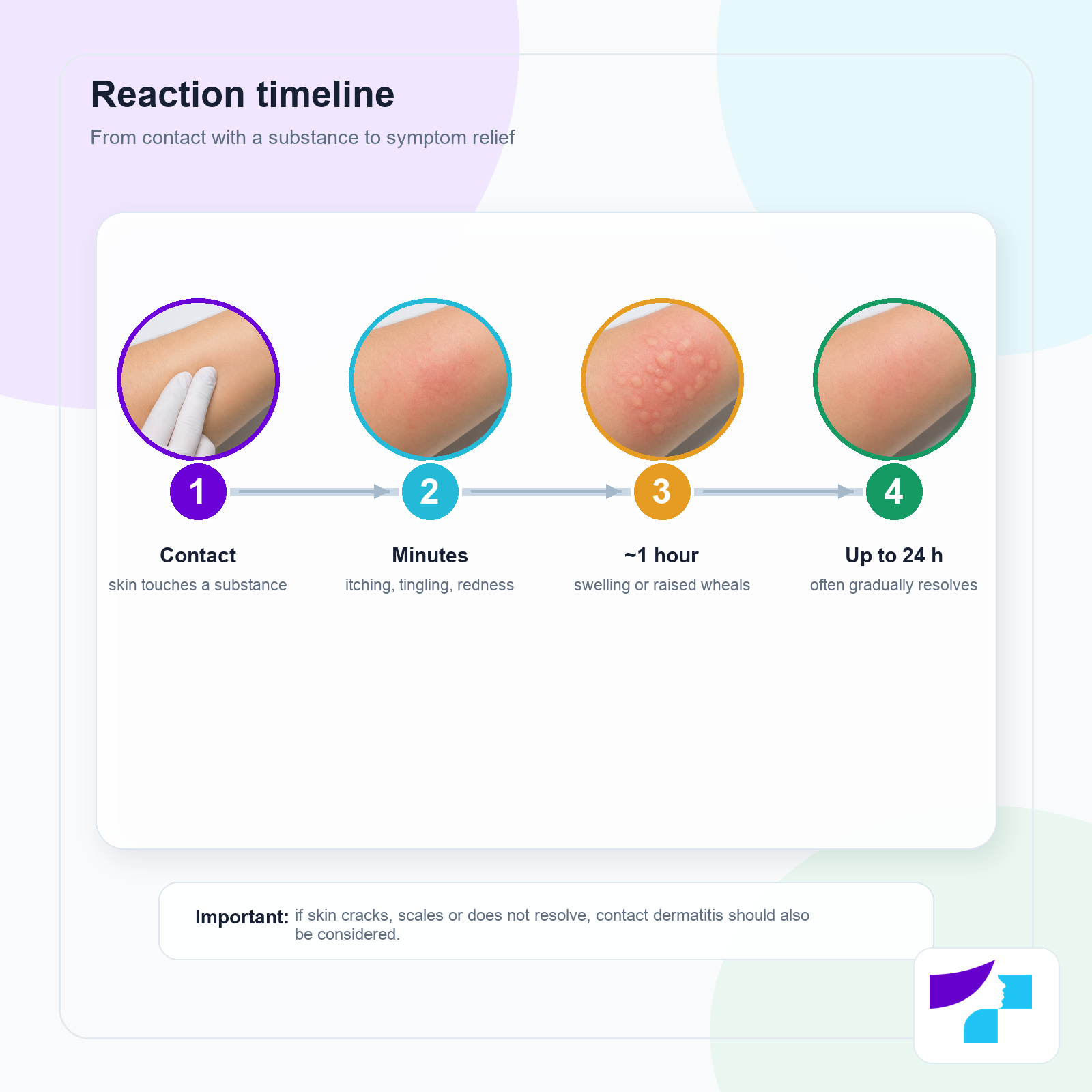 Contact urticaria reaction timeline: contact with a substance, first minutes, raised hives, and symptom relief within 24 hours