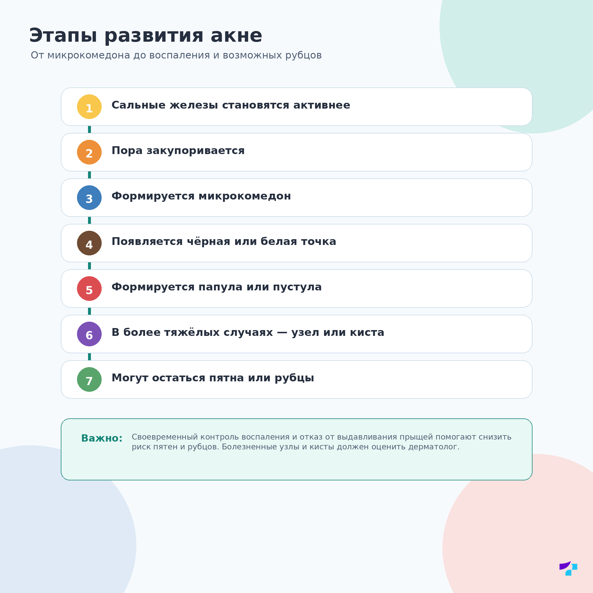 Этапы развития акне от повышения активности сальных желёз до воспаления и риска рубцов