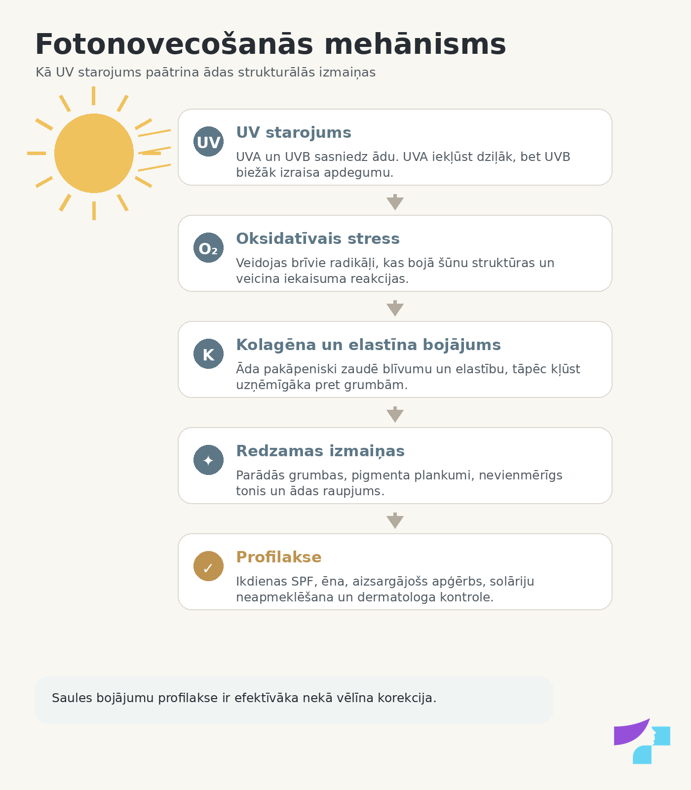 Fotonovecošanās mehānisms Fotonovecošanās mehānisms un UV starojuma ietekme uz ādas novecošanos
