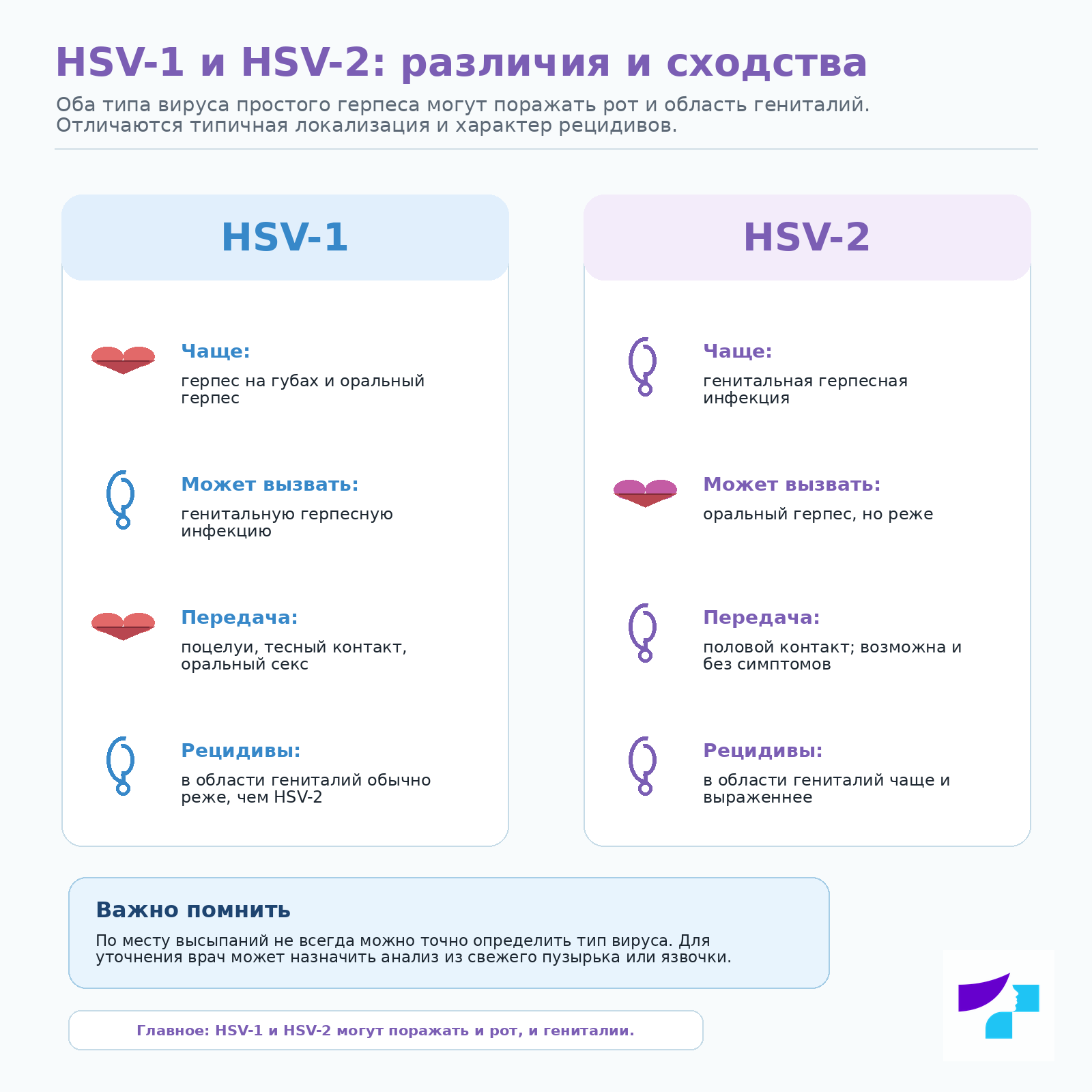 HSV-1 и HSV-2: различия и сходства