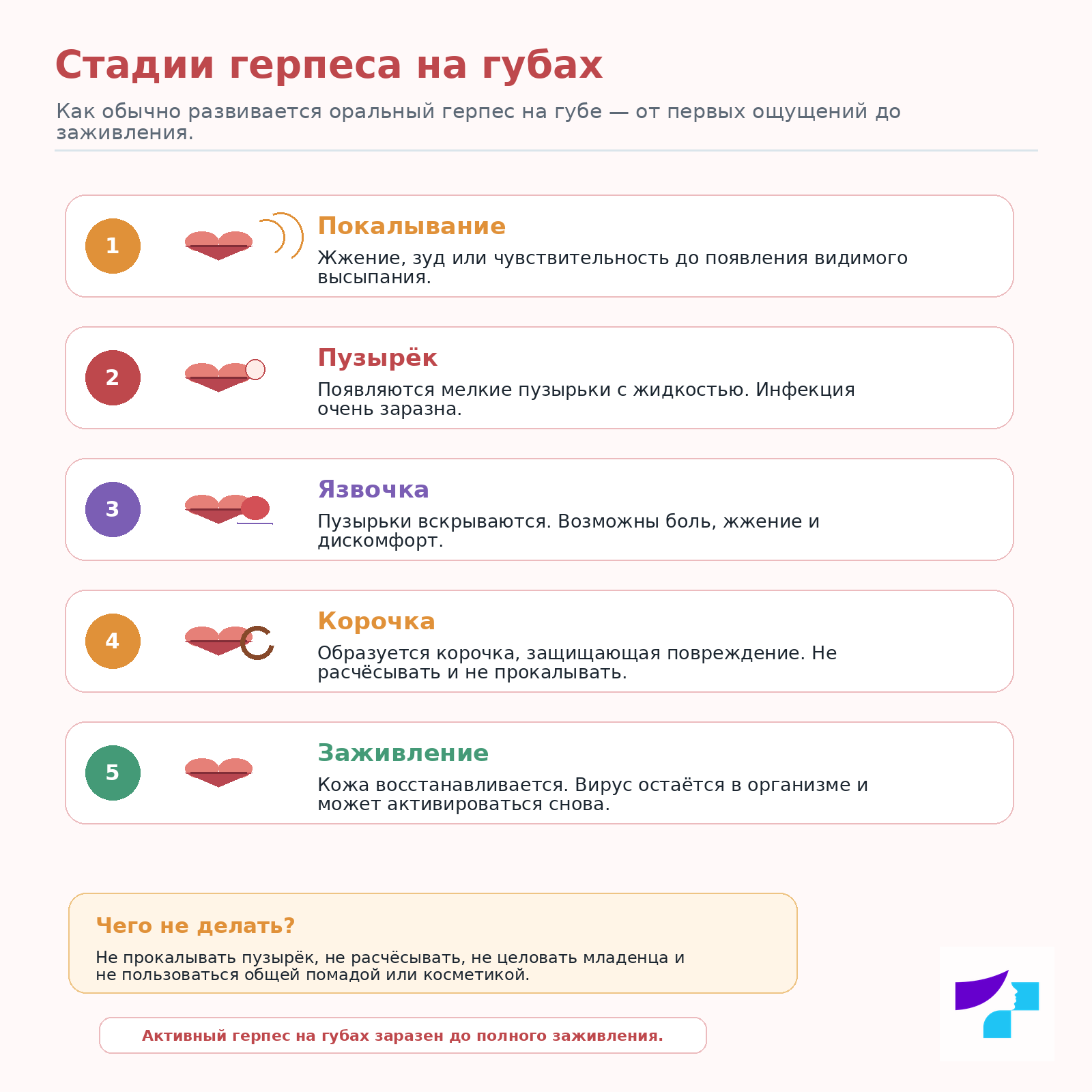 Стадии герпеса на губах