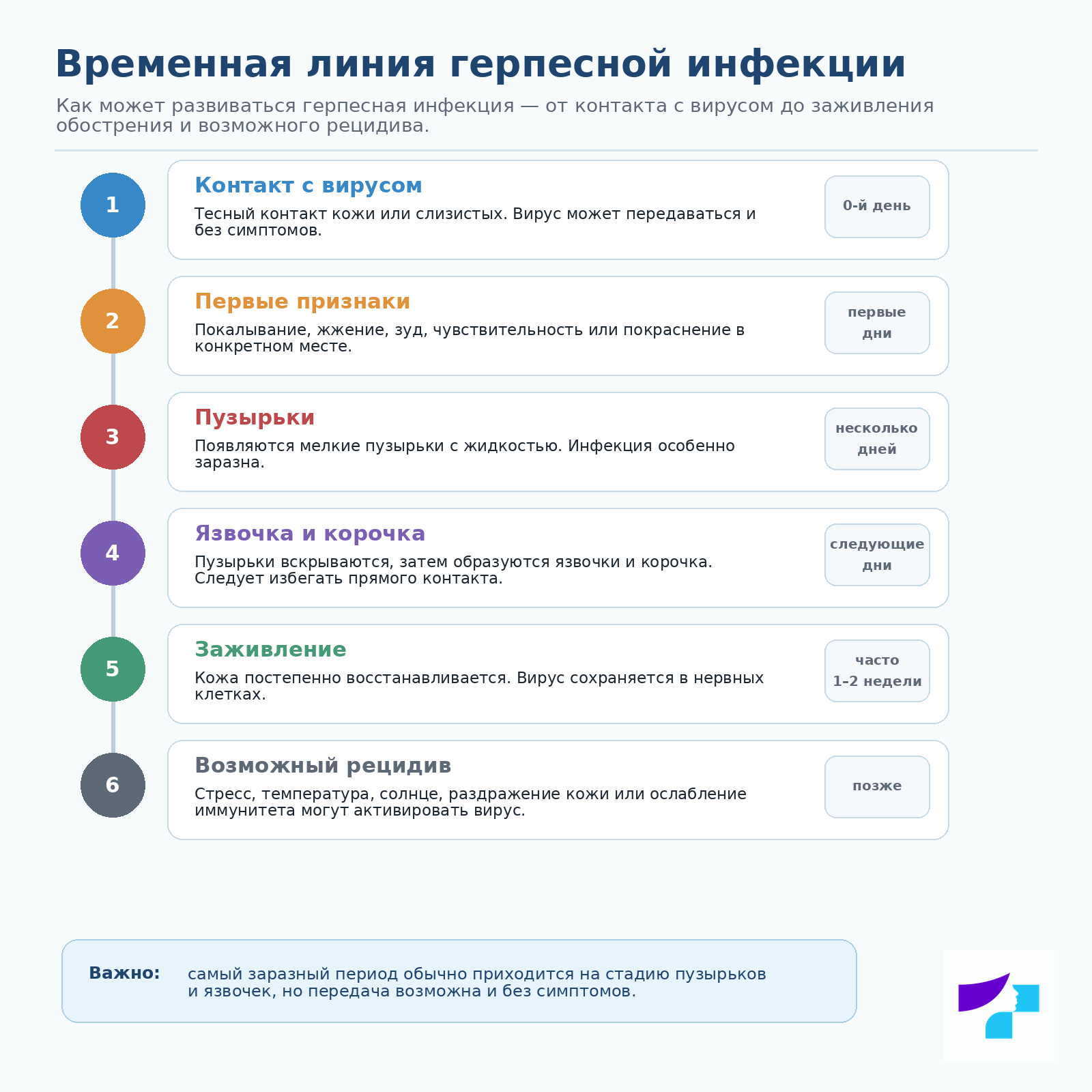 Временная линия герпесной инфекции