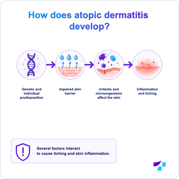 How atopic dermatitis develops How atopic dermatitis develops: impaired skin barrier, moisture loss, inflammation and itching