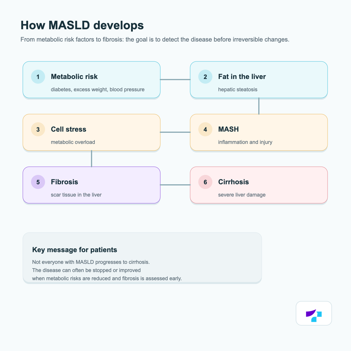 How MASLD develops