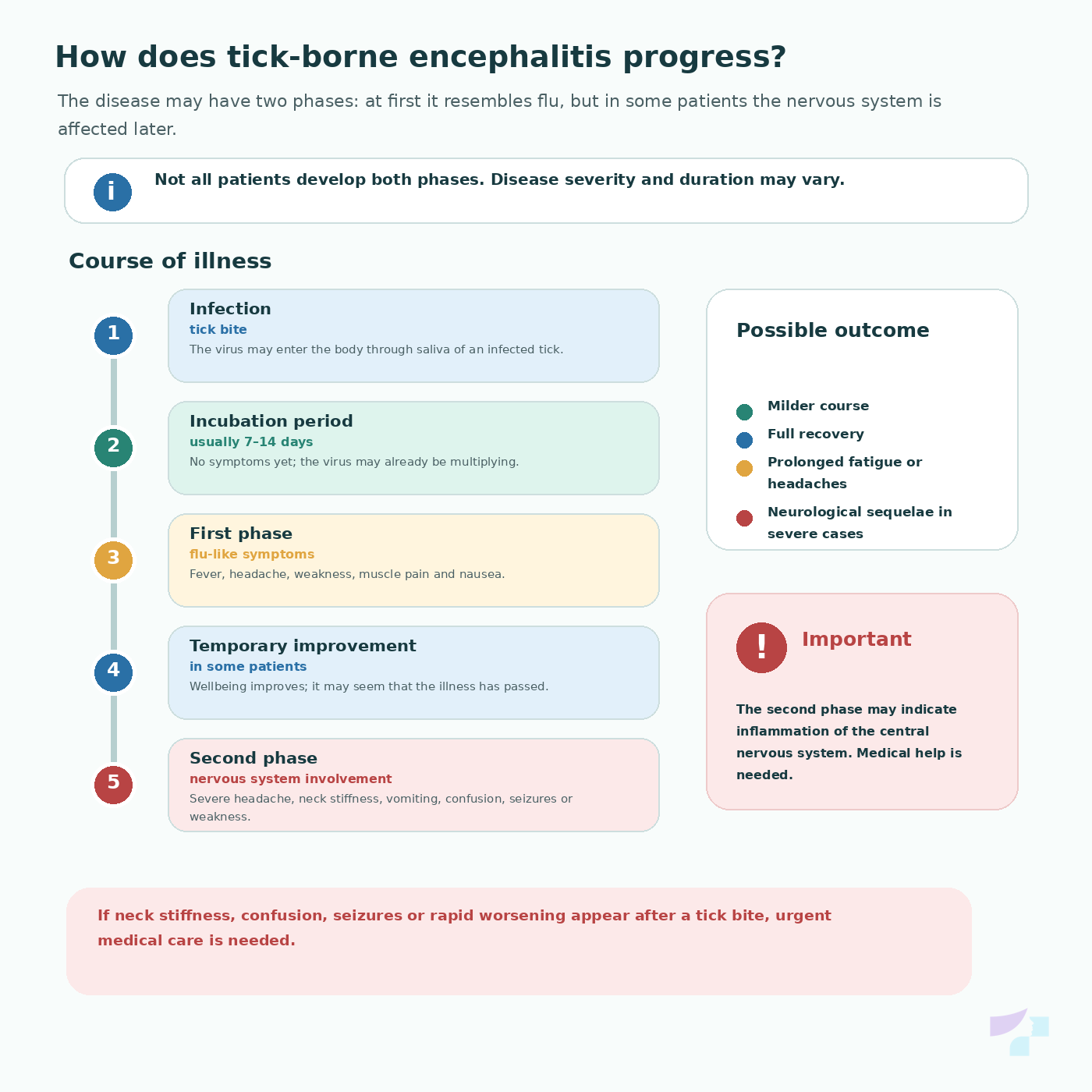 How tick-borne encephalitis progresses How tick-borne encephalitis progresses