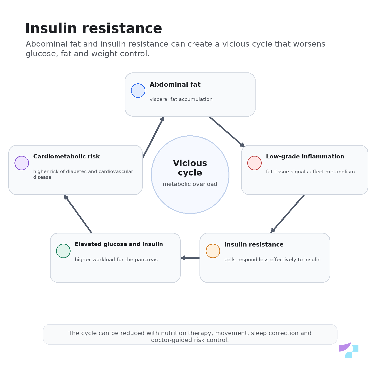 Insulin resistance vicious cycle Insulin resistance vicious cycle
