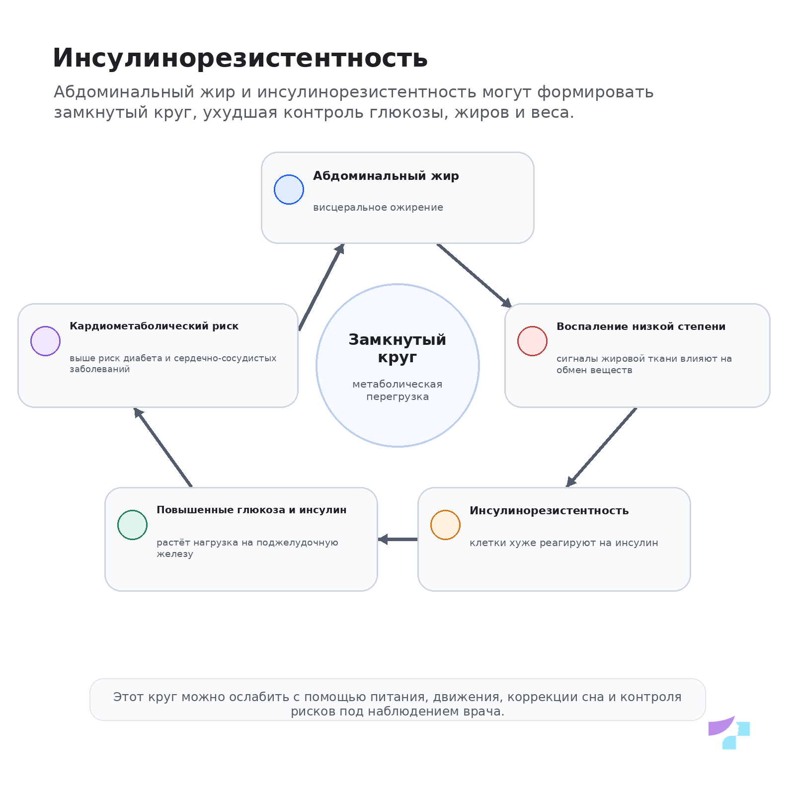 Замкнутый круг инсулинорезистентности Замкнутый круг инсулинорезистентности