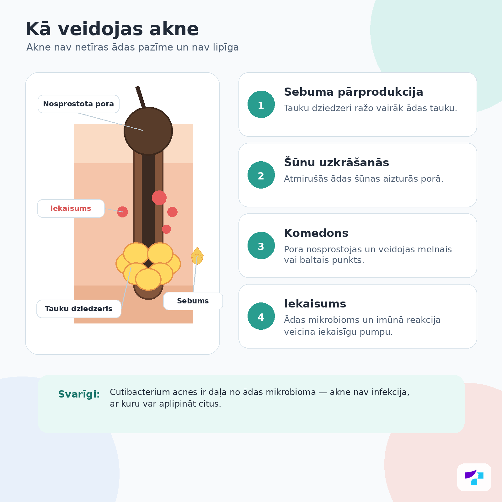 Kā veidojas akne Kā veidojas akne: sebums, poru nosprostošanās, komedoni un iekaisums