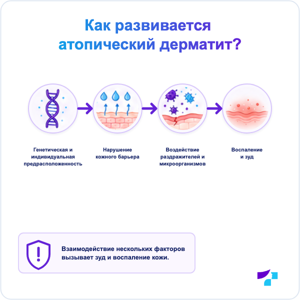 Как развивается атопический дерматит: нарушение кожного барьера, потеря влаги, воспаление и зуд