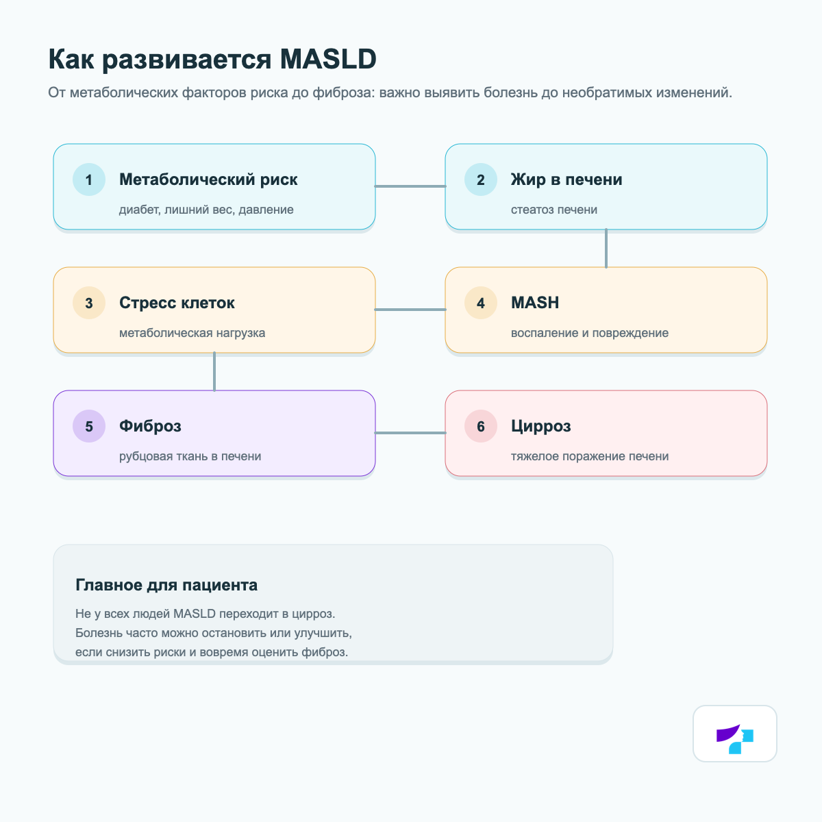Как развивается MASLD Как развивается MASLD