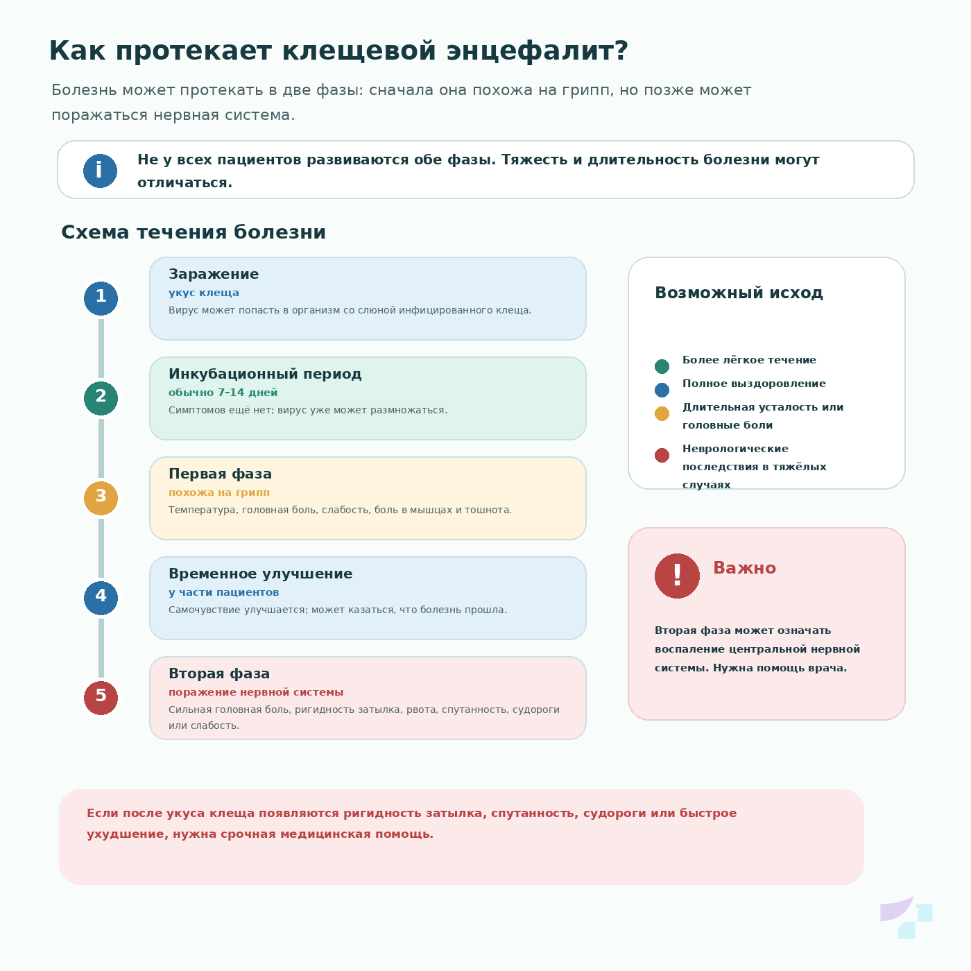 Как протекает клещевой энцефалит