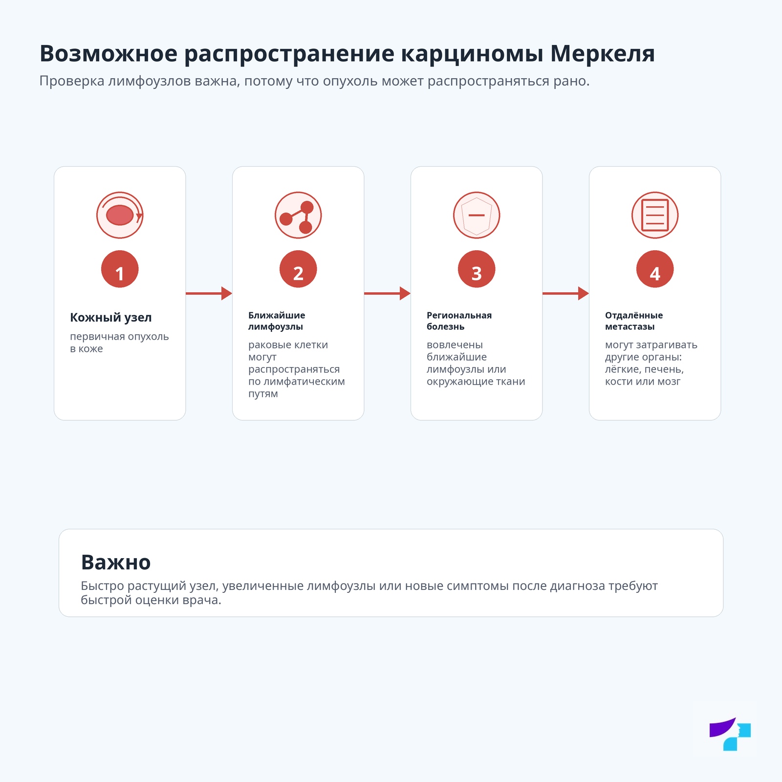 Возможное распространение карциномы Меркеля Возможное распространение карциномы Меркеля: кожный узел, ближайшие лимфоузлы, региональная болезнь и отдалённые метастазы