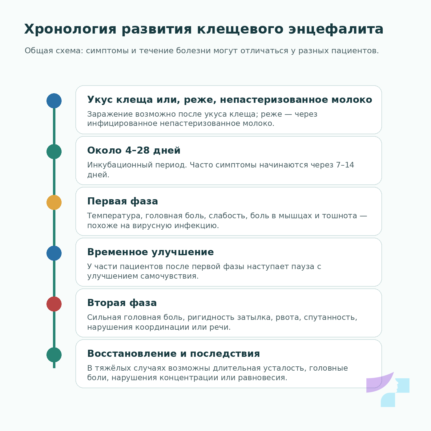 Хронология развития клещевого энцефалита