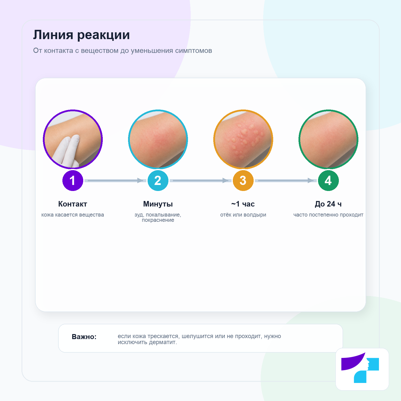 Линия реакции контактной крапивницы: контакт с веществом, первые минуты, появление волдырей и уменьшение симптомов до 24 часов