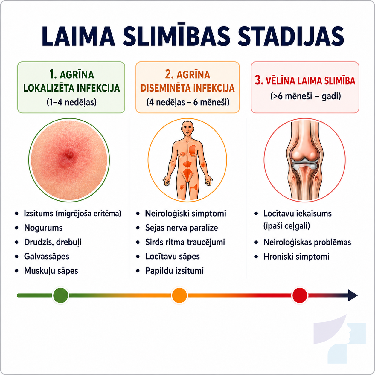 Laima slimības stadiju vizualizācija