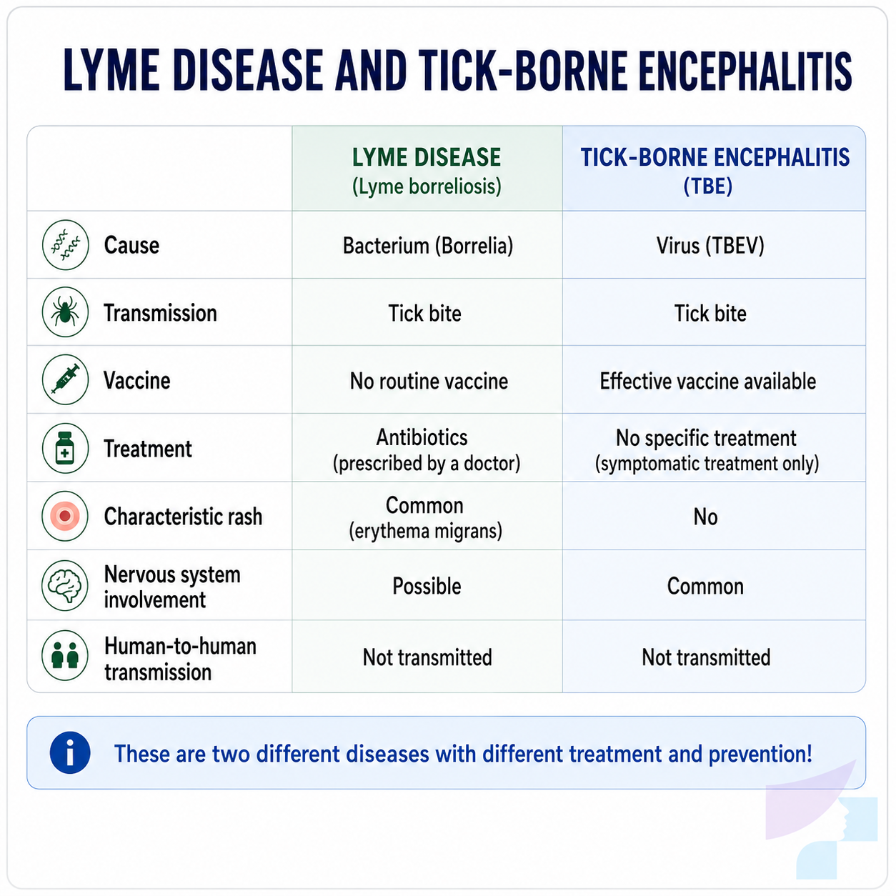 Comparison of Lyme disease and tick-borne encephalitis