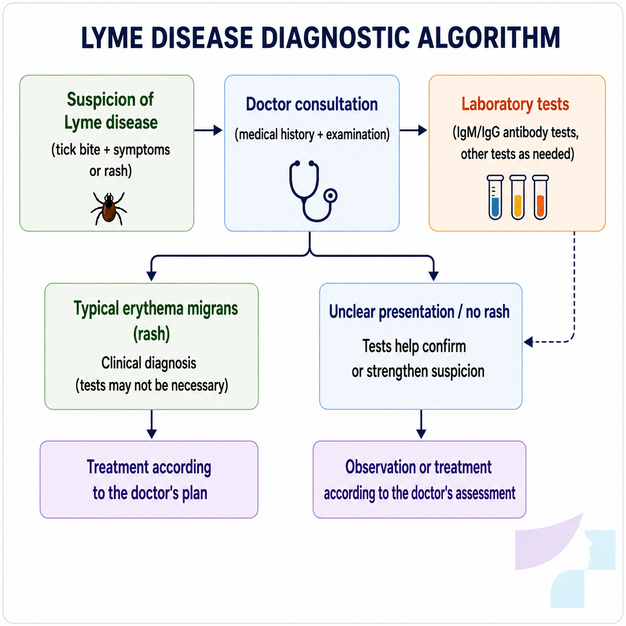 Lyme disease diagnostic algorithm