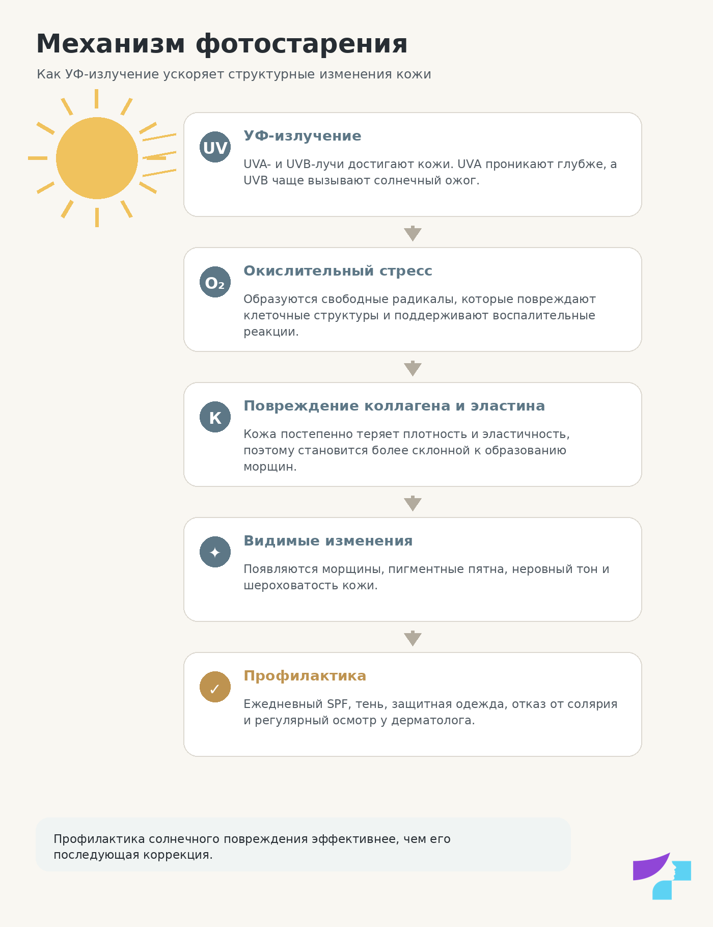 Механизм фотостарения Механизм фотостарения и влияние УФ-излучения на старение кожи