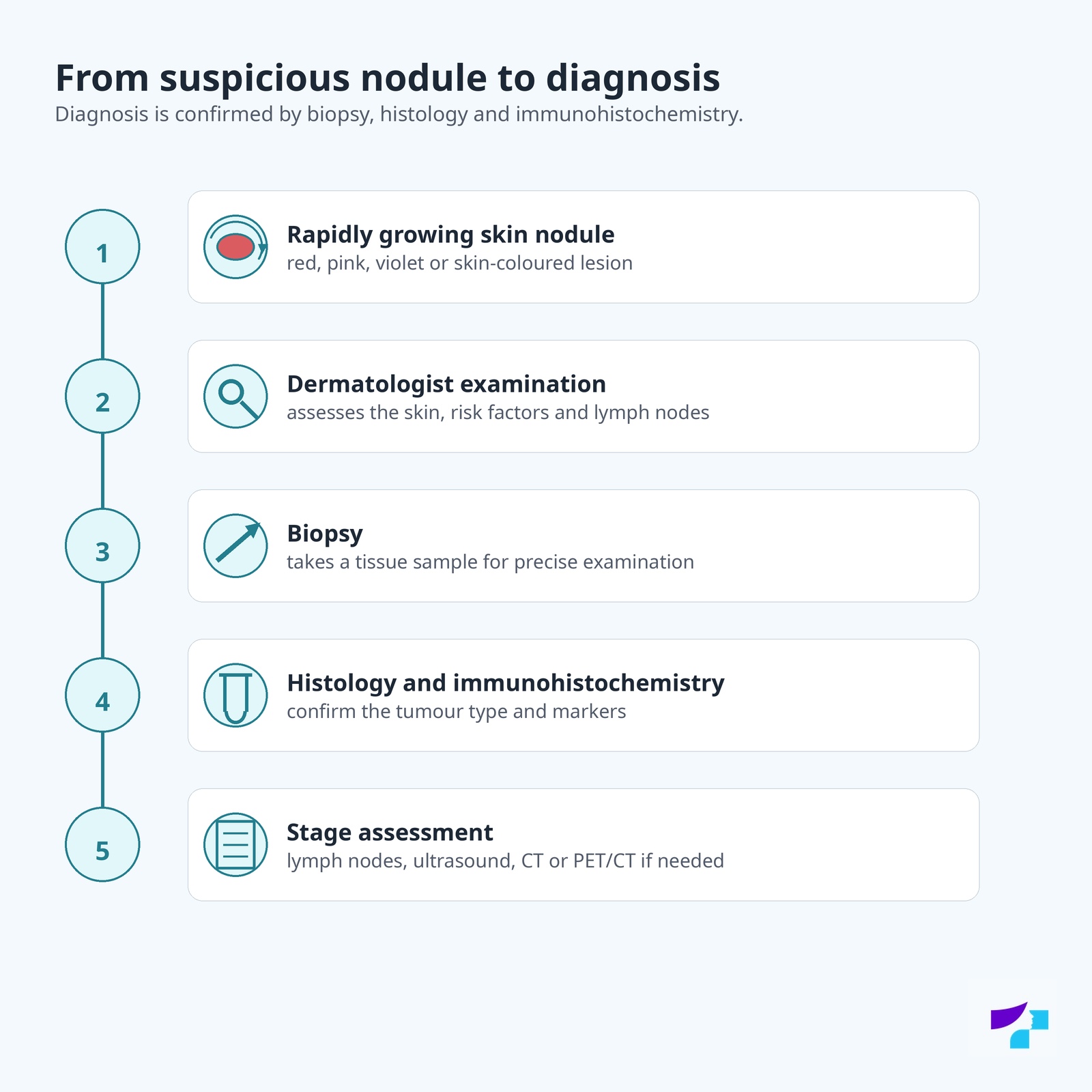 Merkel cell carcinoma diagnostic pathway: rapidly growing nodule, dermatologist examination, biopsy, histology and immunohistochemistry, stage assessment
