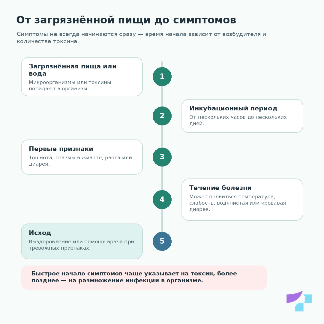 От загрязнённой пищи до симптомов От загрязнённой пищи до симптомов