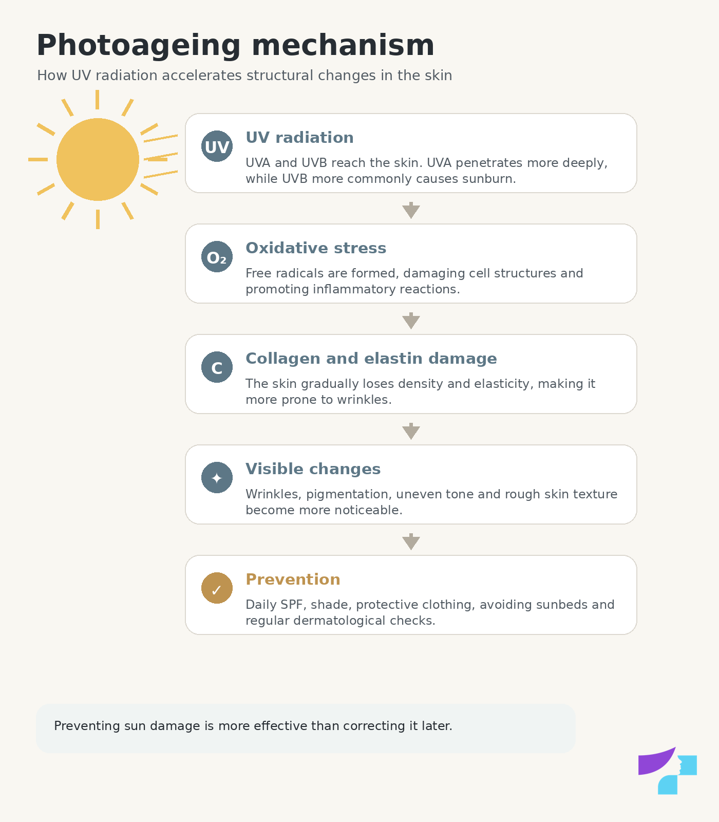 Photoageing mechanism and the effect of UV radiation on skin ageing
