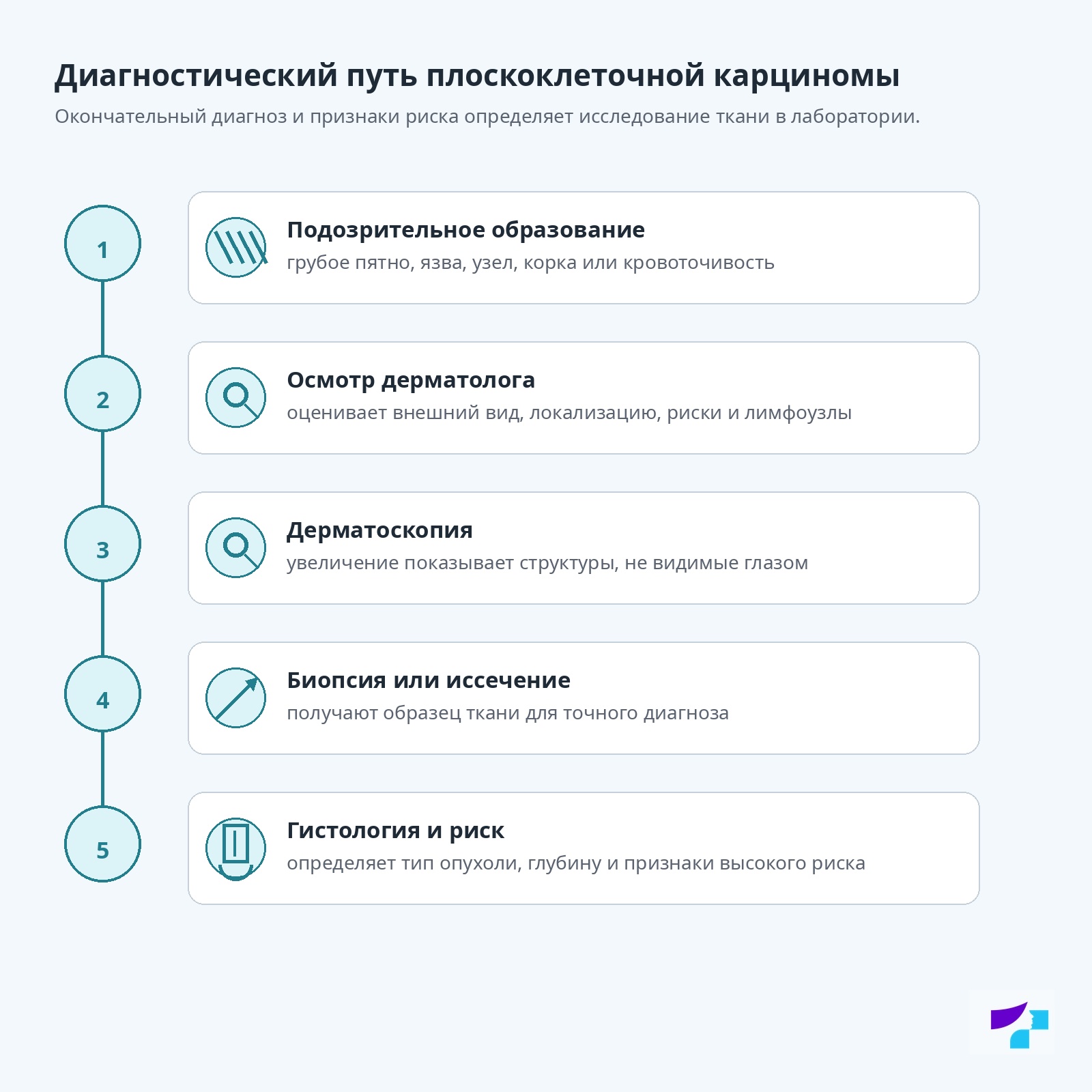 Диагностический путь плоскоклеточной карциномы Диагностический путь плоскоклеточной карциномы: подозрительное образование, осмотр дерматолога, дерматоскопия, биопсия или иссечение, гистология и оценка риска