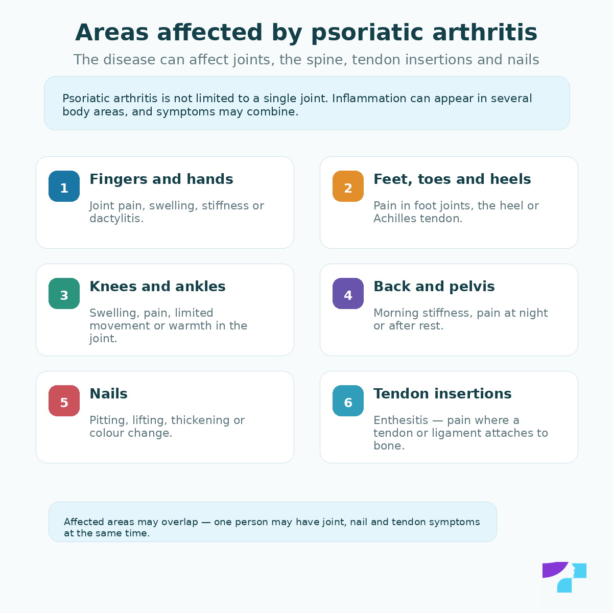 Areas affected by psoriatic arthritis: fingers and hands, feet, knees, ankles, back, pelvis, nails and tendon attachment sites