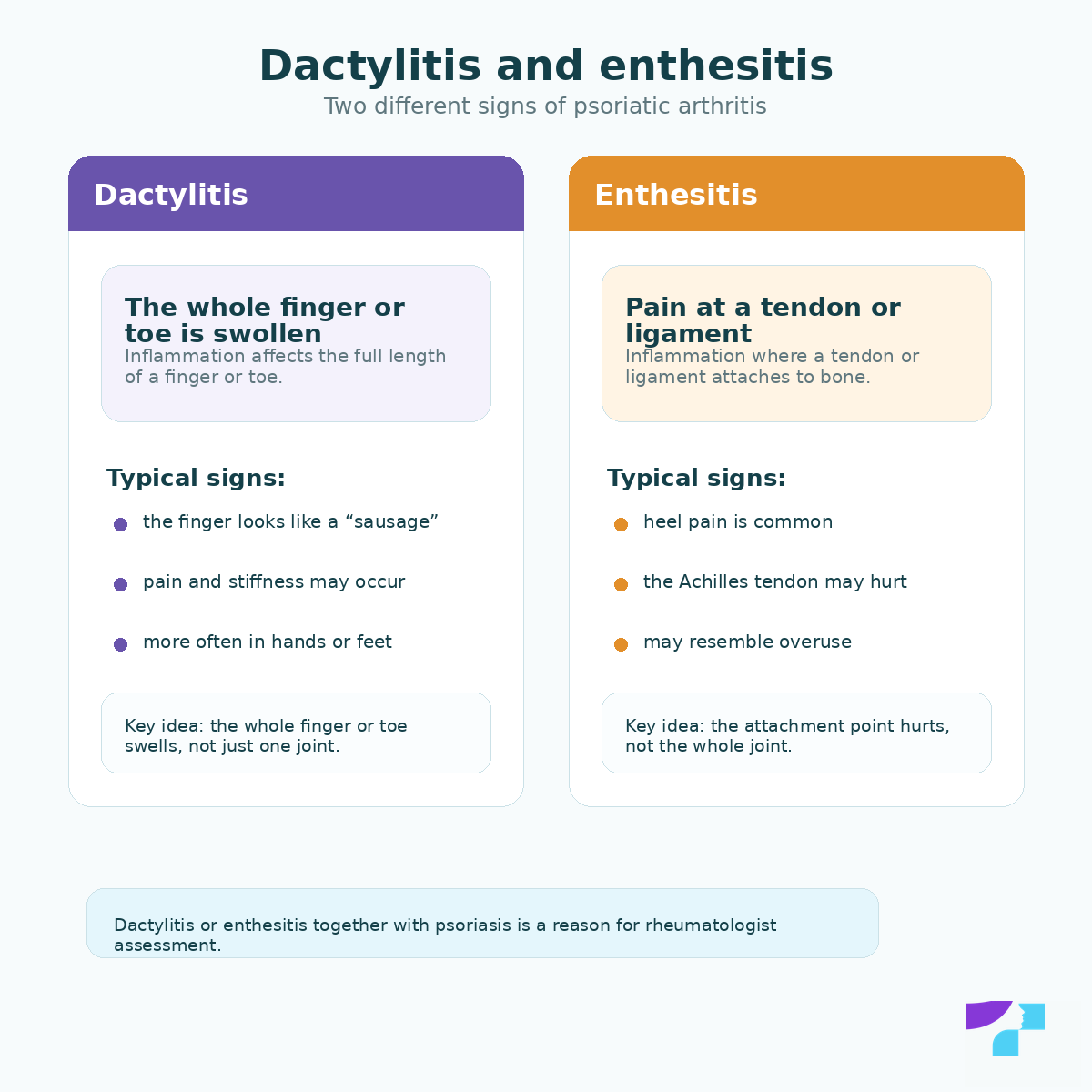 Dactylitis and enthesitis: two characteristic signs of psoriatic arthritis — swelling of a whole finger or toe and pain where a tendon or ligament attaches to bone