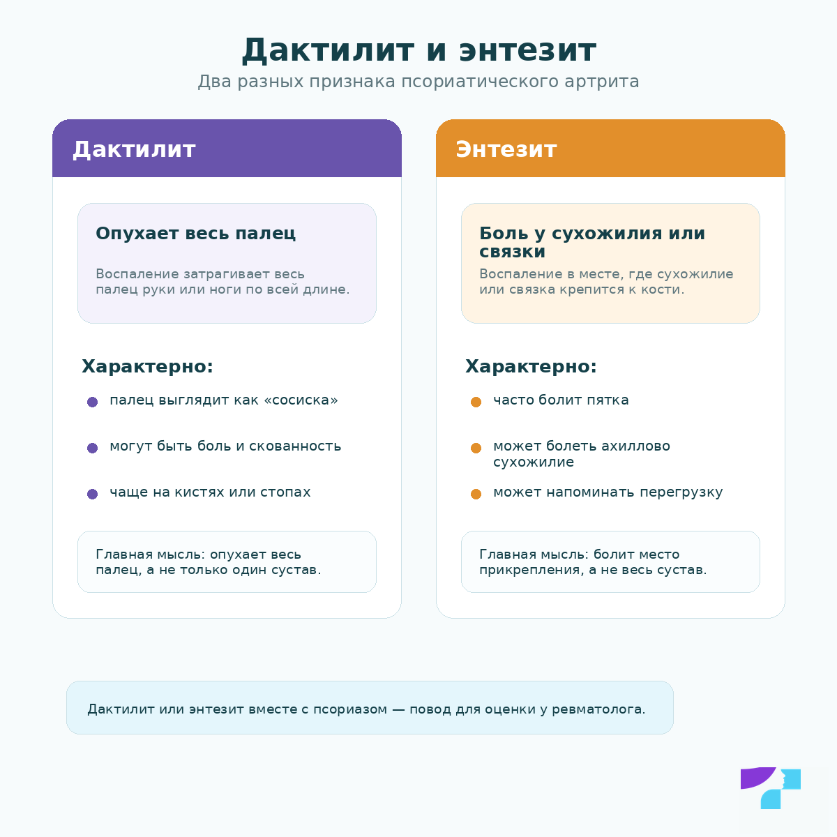 Дактилит и энтезит: два характерных признака псориатического артрита — отёк всего пальца и боль в месте прикрепления сухожилия или связки к кости