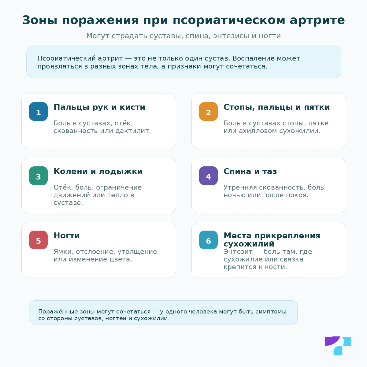 Зоны поражения при псориатическом артрите: пальцы рук и кисти, стопы, колени, лодыжки, спина, таз, ногти и места прикрепления сухожилий