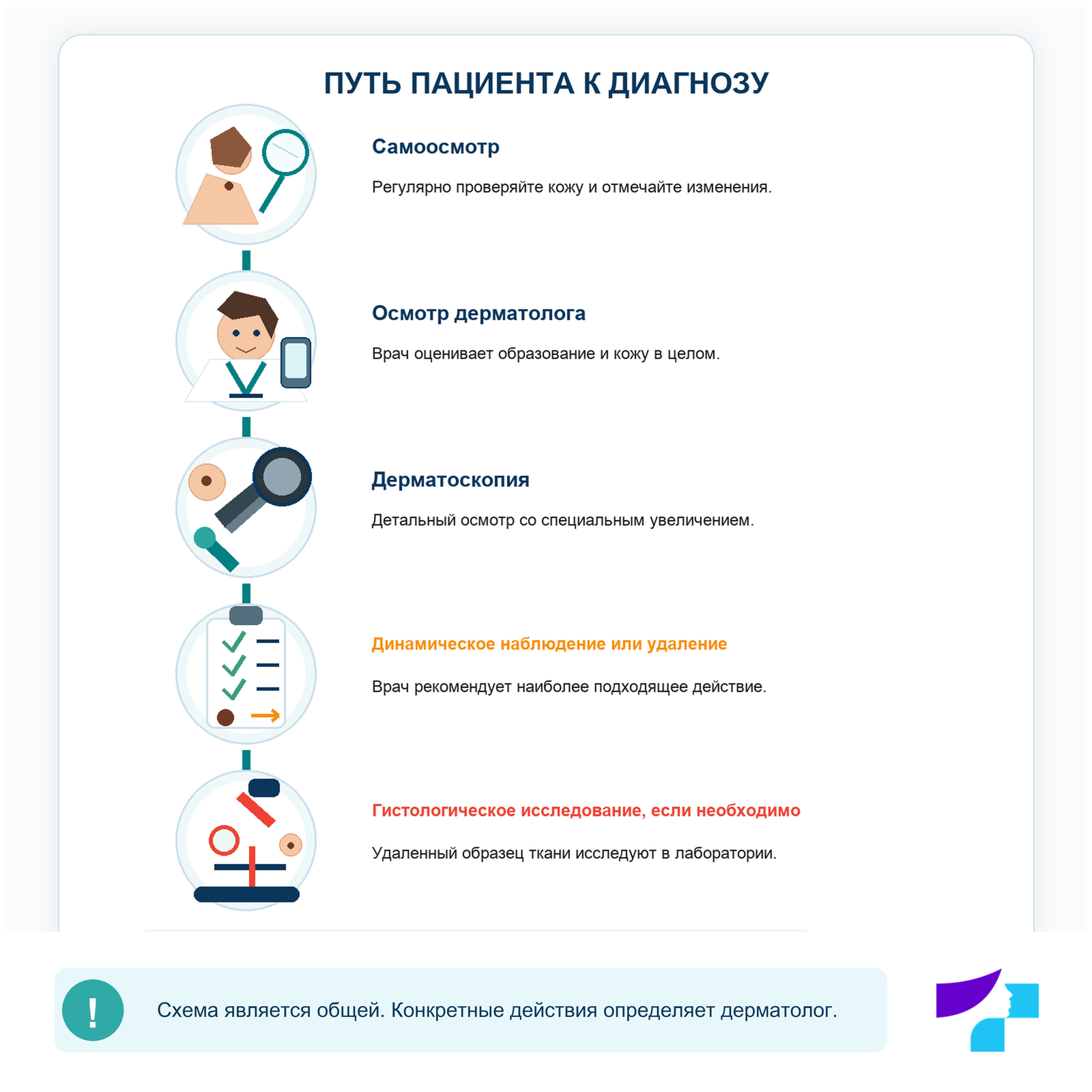 Путь проверки родинки