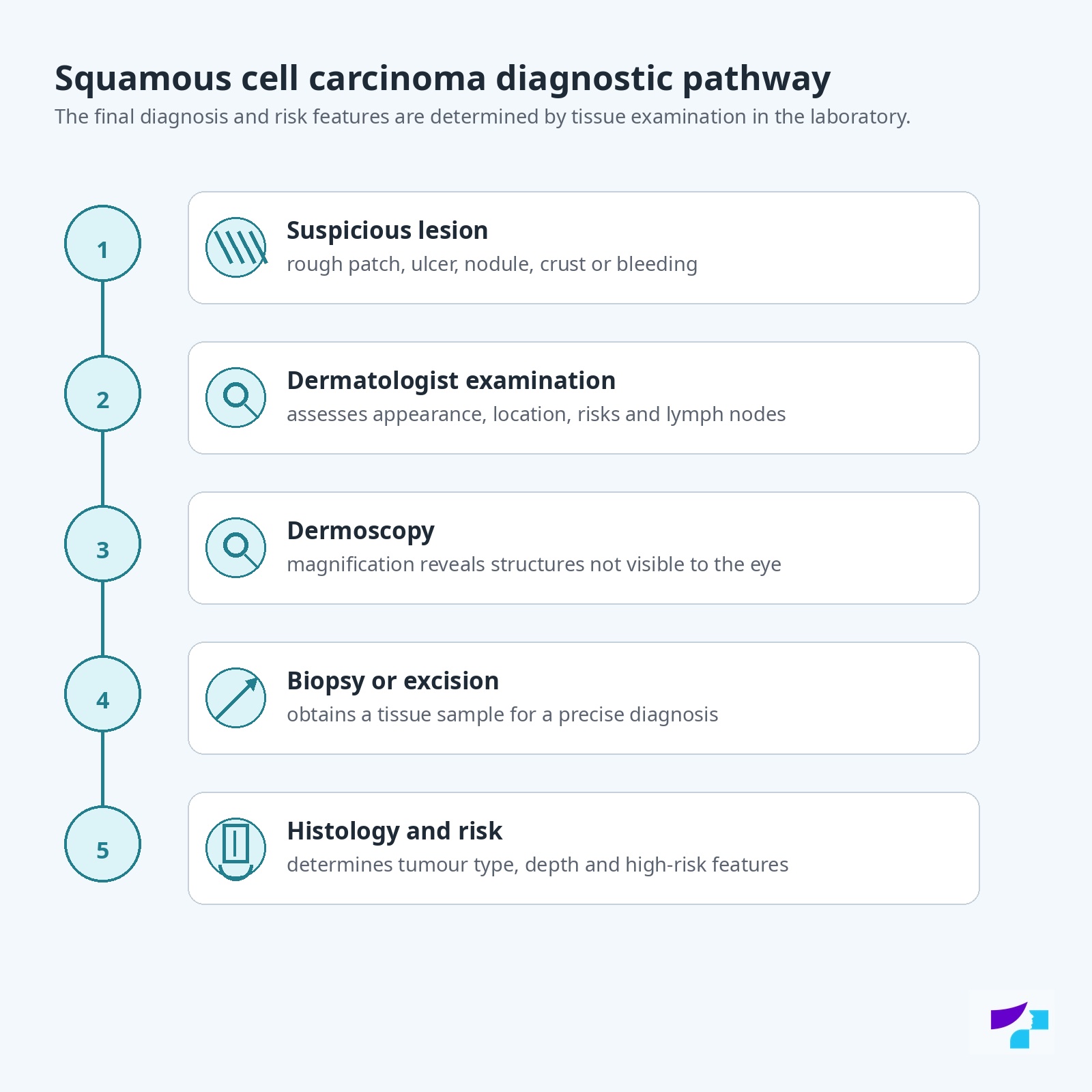 Squamous cell carcinoma diagnostic pathway: suspicious lesion, dermatologist examination, dermoscopy, biopsy or excision, histology and risk assessment