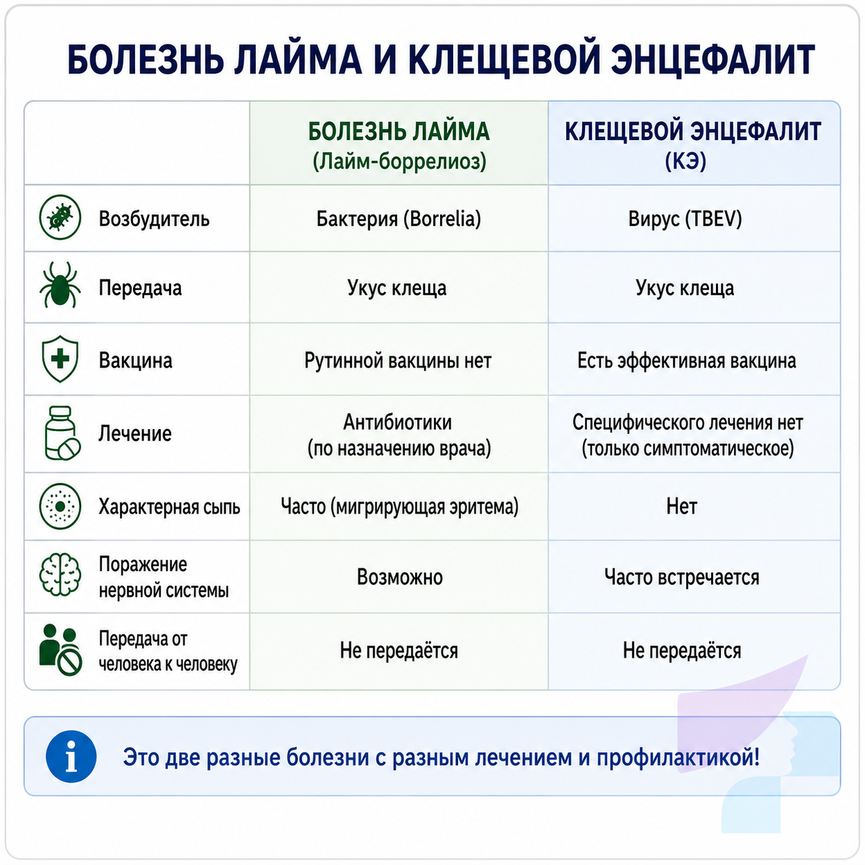 Сравнение болезни Лайма и клещевого энцефалита
