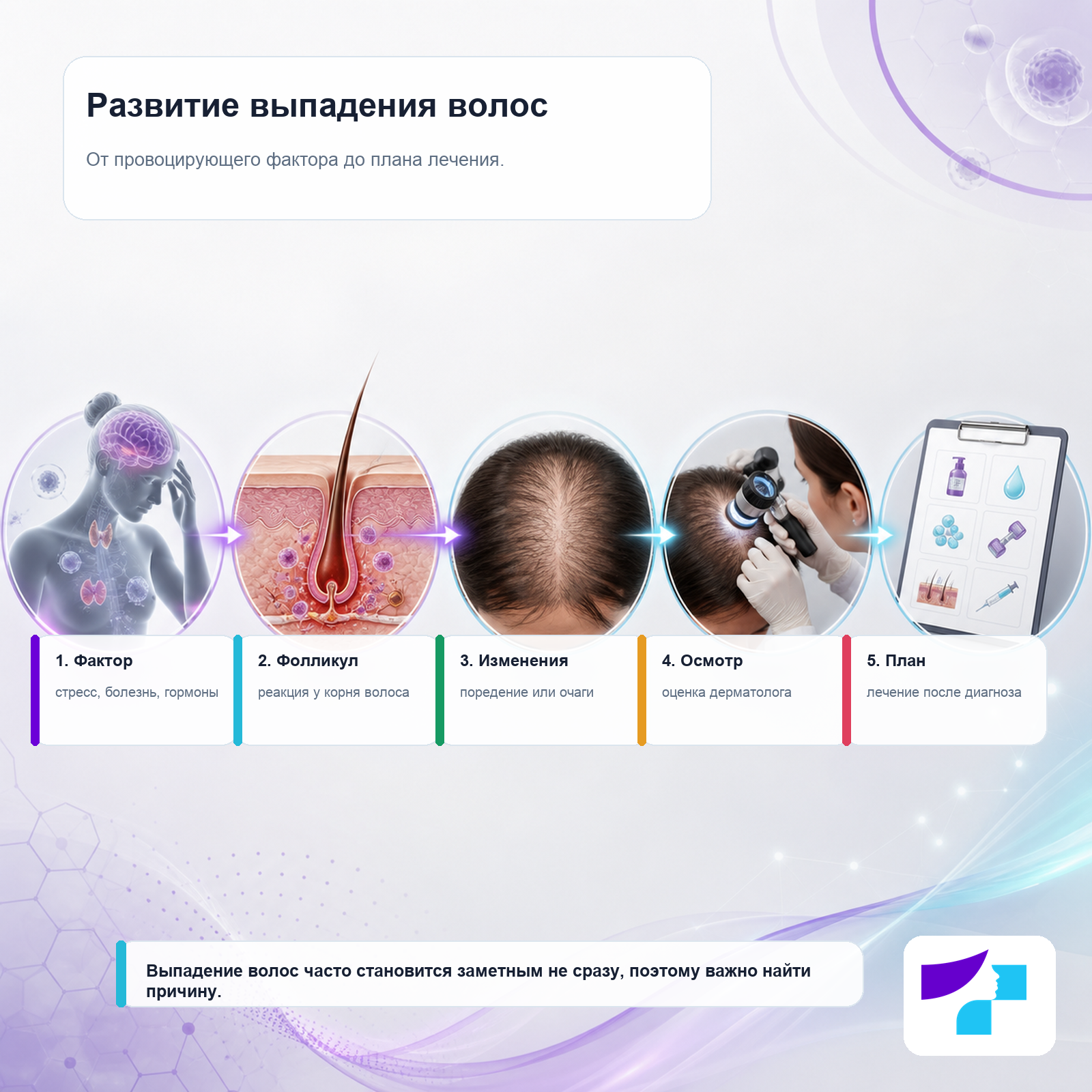 Timeline развития выпадения волос Timeline развития выпадения волос от провоцирующего фактора до диагностики и плана лечения