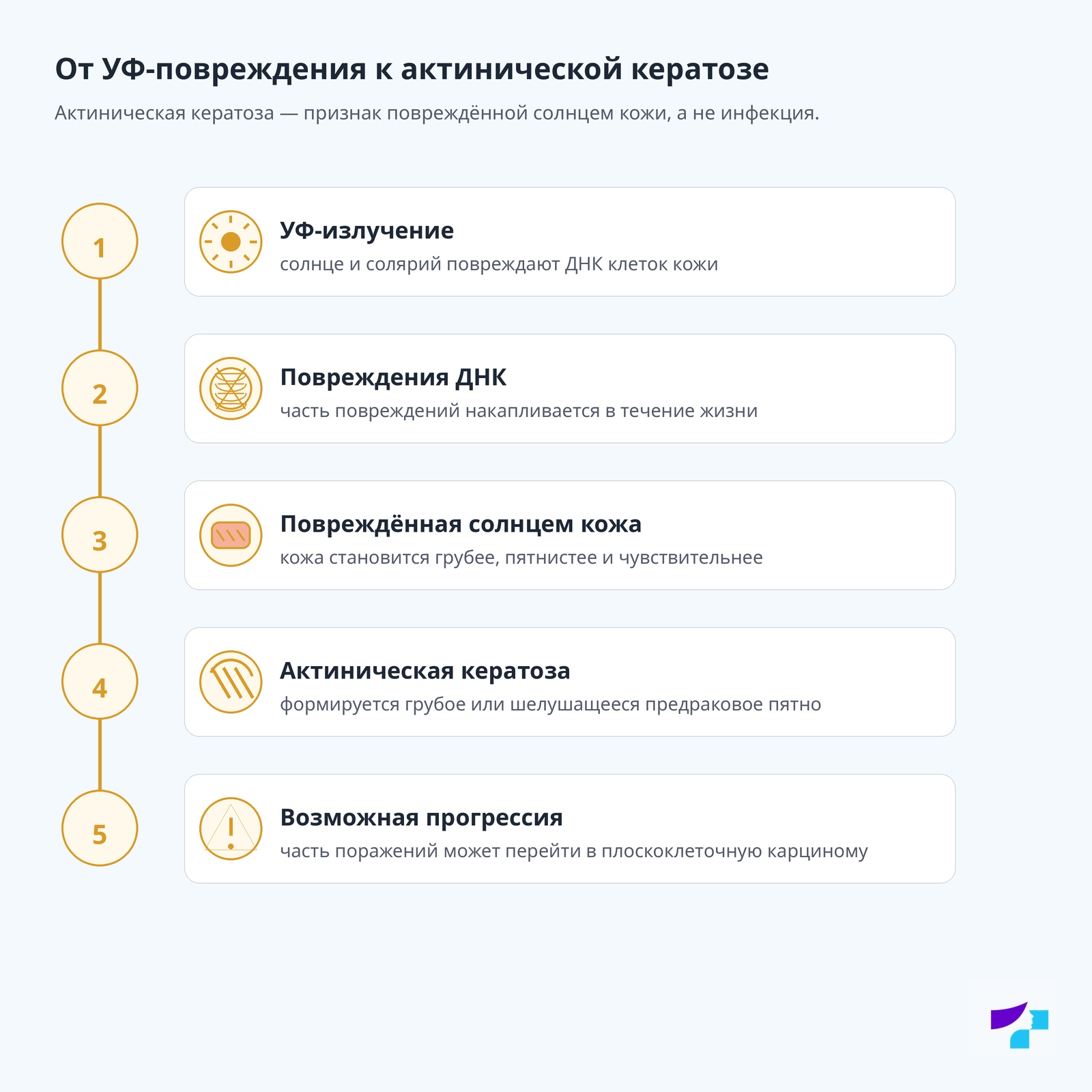 От УФ-повреждения к актинической кератозе От УФ-повреждения к актинической кератозе: УФ-излучение, повреждения ДНК, повреждённая солнцем кожа, актиническая кератоза и возможная прогрессия